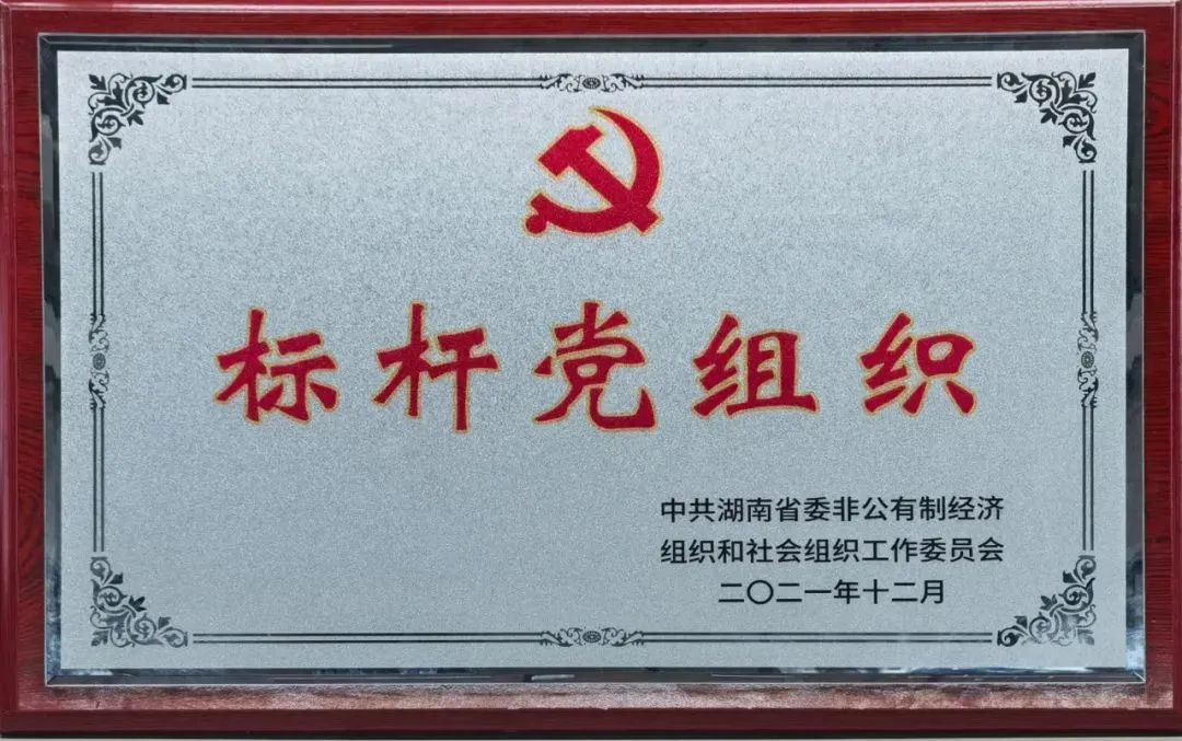 黨建品牌亮起來！山河智能黨委獲評(píng)“標(biāo)桿黨組織”